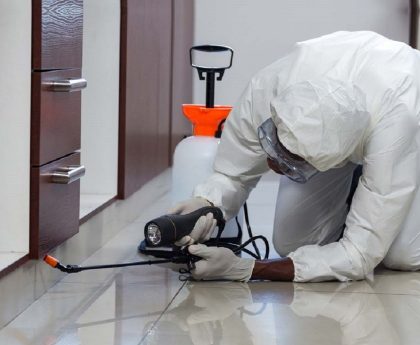Pest Control Services: Ensuring a Pest-Free Workplace Environment