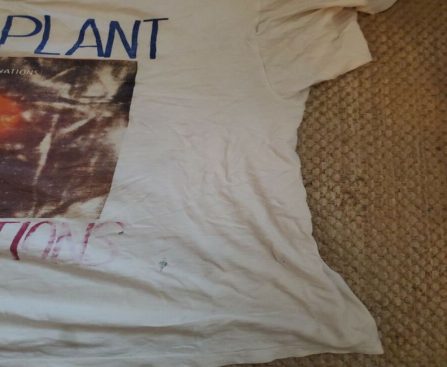 Explore Unique Robert Plant Merch and Collectibles