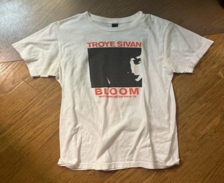 Unlocking the Secrets of Troye Sivan's Official Store: Hidden Gems Revealed