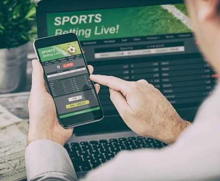 WBC247 Review Key Insights for Effective Betting