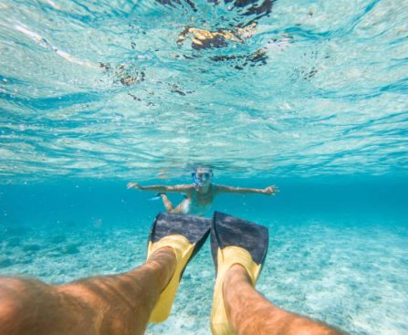 Snorkeling Gear 101 What You Need to Get Started