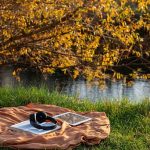 Digital Wisdom Captured in Engaging and Interactive Ebooks