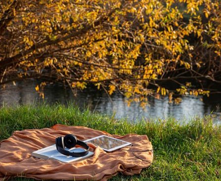 Digital Wisdom Captured in Engaging and Interactive Ebooks