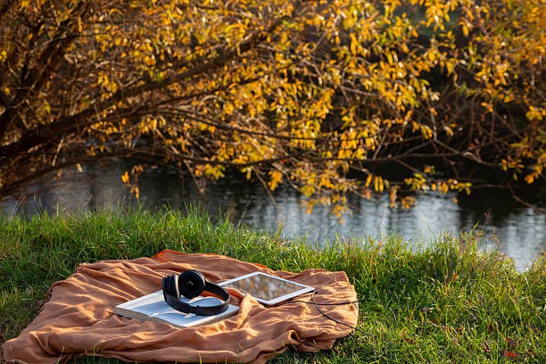 Digital Wisdom Captured in Engaging and Interactive Ebooks