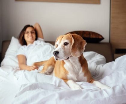 The Exhausting Reality of Sinus Issues