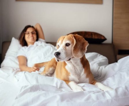 The Exhausting Reality of Sinus Issues