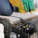 Solar Bird Proofing Melbourne to Protect Your Solar Investment