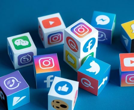 Discover Audience Building Opportunities With SMM World followers Services
